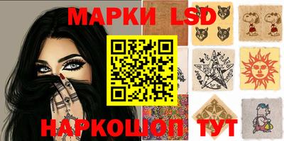 гашик Донской