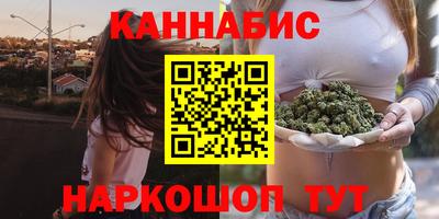 индика Дубна