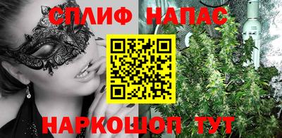 гашик Донской