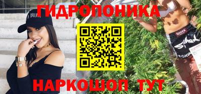 индика Дубна