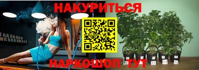 индика Дубна