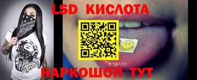 индика Дубна