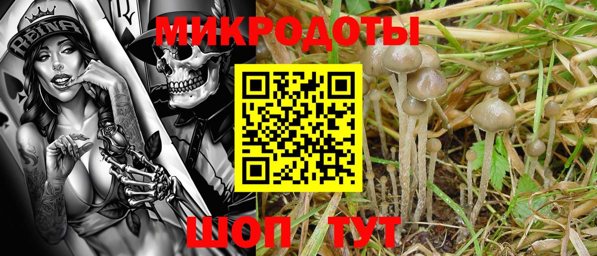 Псилоцибиновые грибы прущие грибы Москва